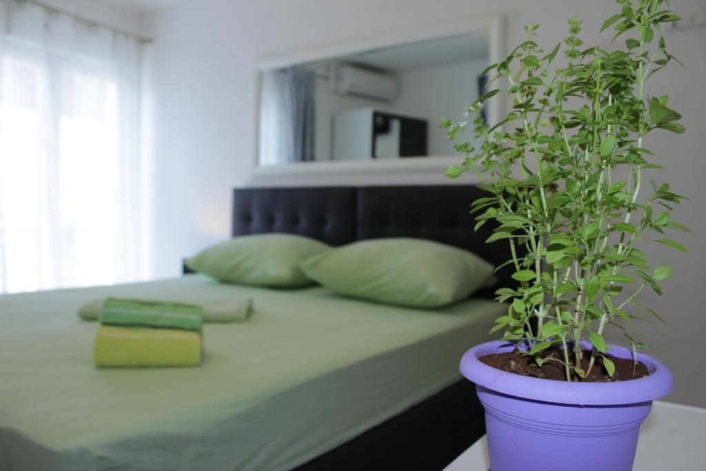 Guest House Put Neum Eksteriør bilde
